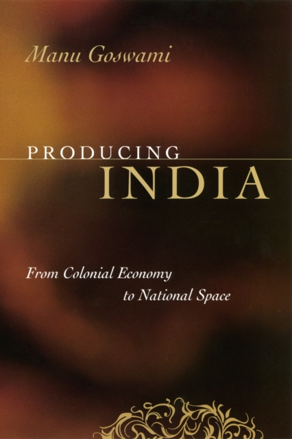 Producing India : From Colonial Economy to National Space, PDF eBook