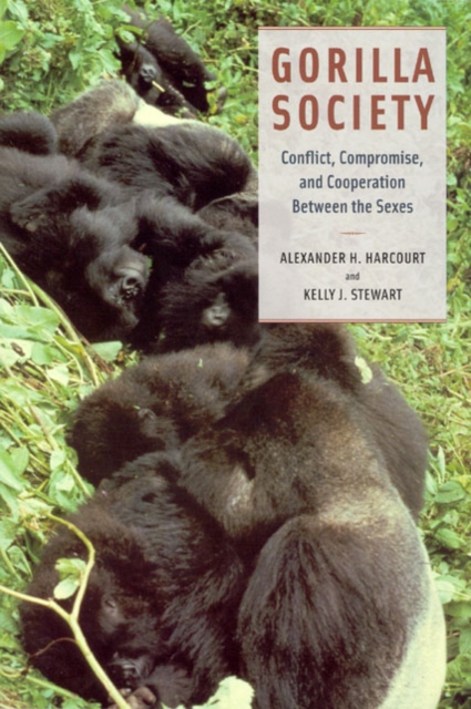 Gorilla Society : Conflict, Compromise, and Cooperation Between the Sexes, Hardback Book