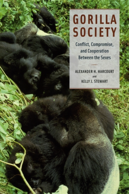 Gorilla Society : Conflict, Compromise, and Cooperation Between the Sexes, PDF eBook