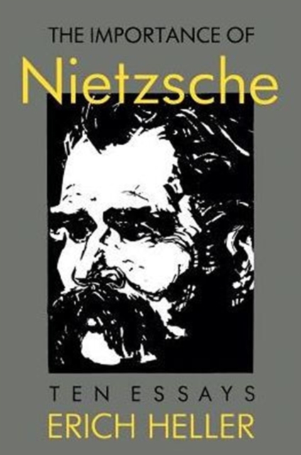 The Importance of Nietzsche, Paperback / softback Book