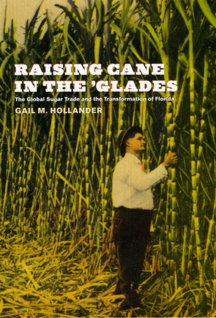 Raising Cane in the 'Glades : The Global Sugar Trade and the Transformation of Florida, Hardback Book