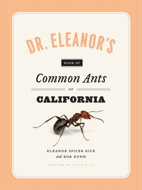 Dr. Eleanor's Book of Common Ants of California, Paperback / softback Book