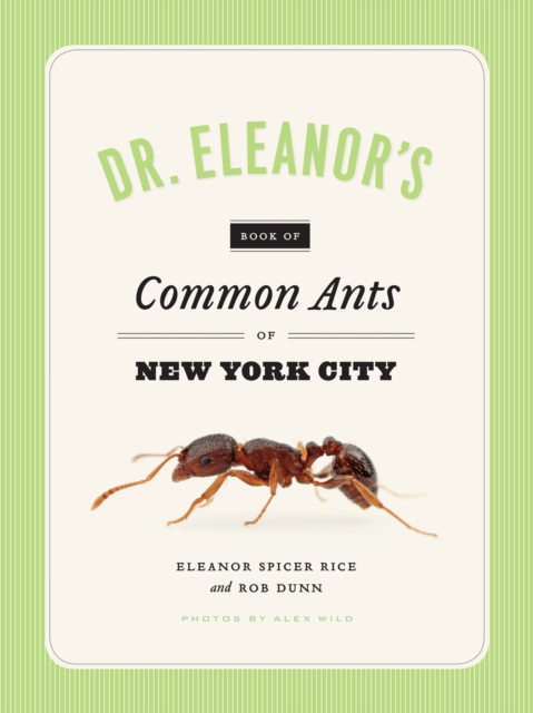 Dr. Eleanor's Book of Common Ants of New York City, Paperback / softback Book