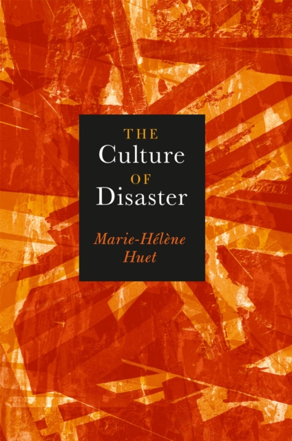 The Culture of Disaster, Hardback Book