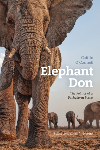 Elephant Don : The Politics of a Pachyderm Posse, Paperback / softback Book