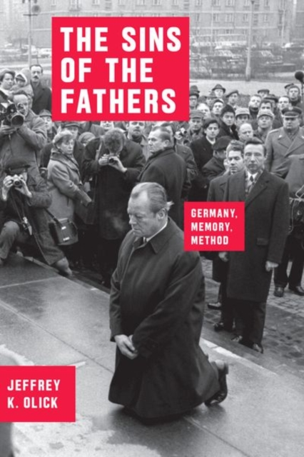 The Sins of the Fathers : Germany, Memory, Method, Hardback Book
