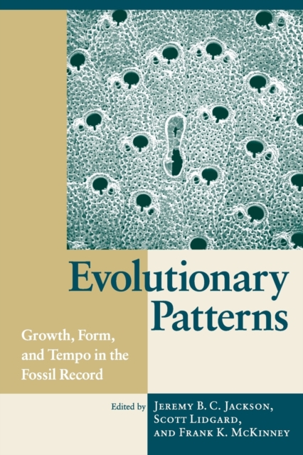 Evolutionary Patterns : Growth, Form, and Tempo in the Fossil Record, Paperback / softback Book