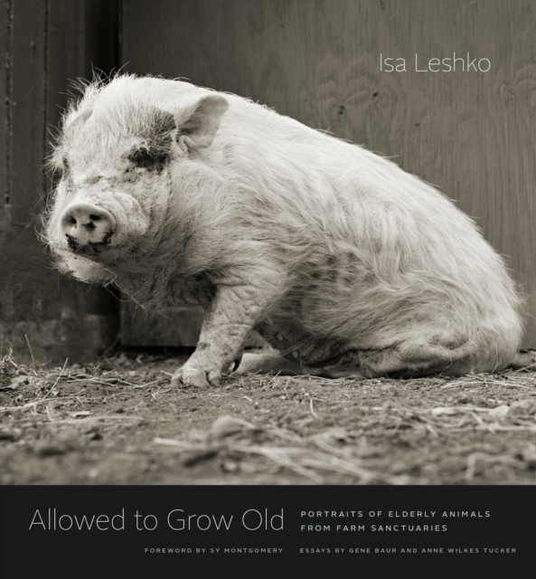 Allowed to Grow Old : Portraits of Elderly Animals from Farm Sanctuaries, PDF eBook