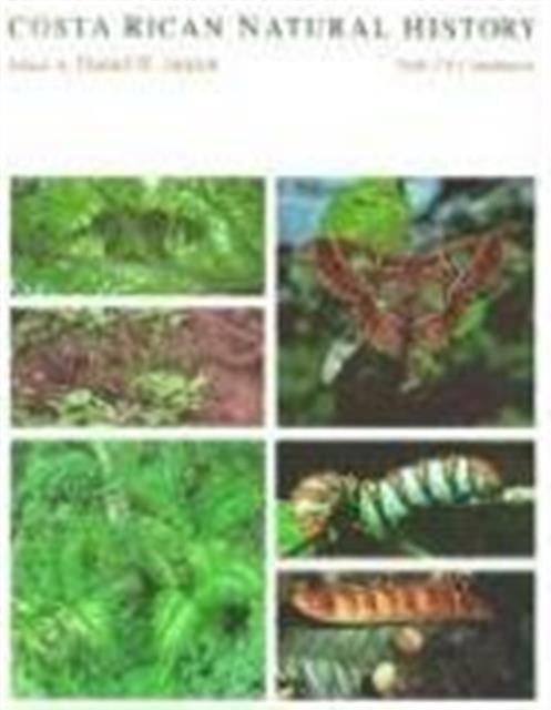 Costa Rican Natural History, Paperback / softback Book