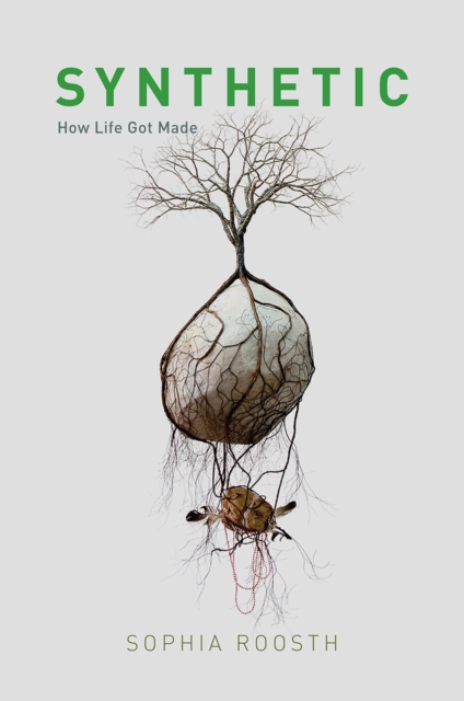 Synthetic : How Life Got Made, Paperback / softback Book