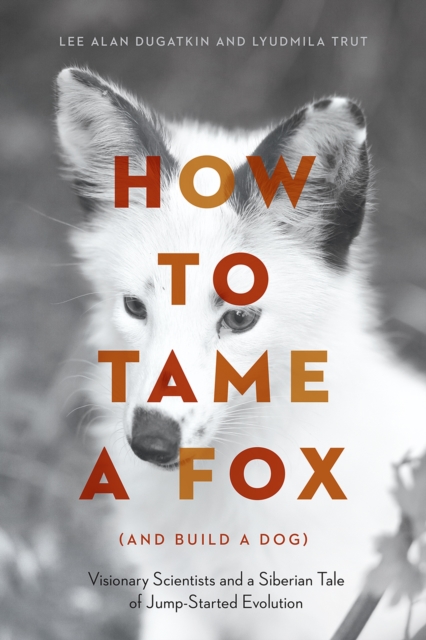 How to Tame a Fox (and Build a Dog) : Visionary Scientists and a Siberian Tale of Jump-Started Evolution, Hardback Book