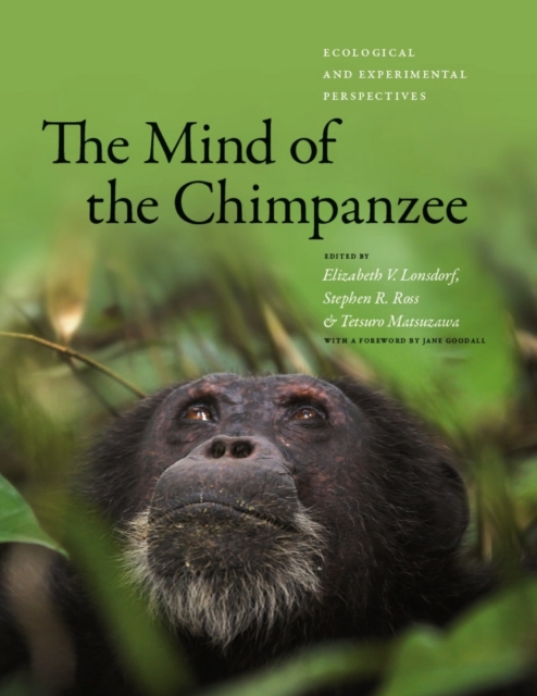 The Mind of the Chimpanzee : Ecological and Experimental Perspectives, PDF eBook