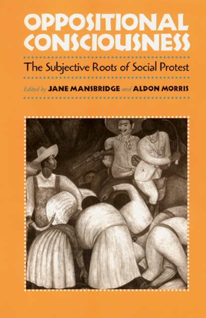 Oppositional Consciousness : The Subjective Roots of Social Protest, Paperback / softback Book