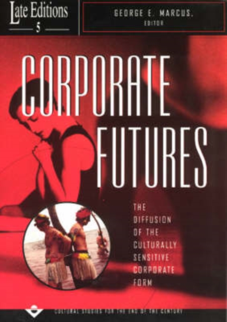 Corporate Futures : The Diffusion of the Culturally Sensitive Corporate Form, Paperback / softback Book