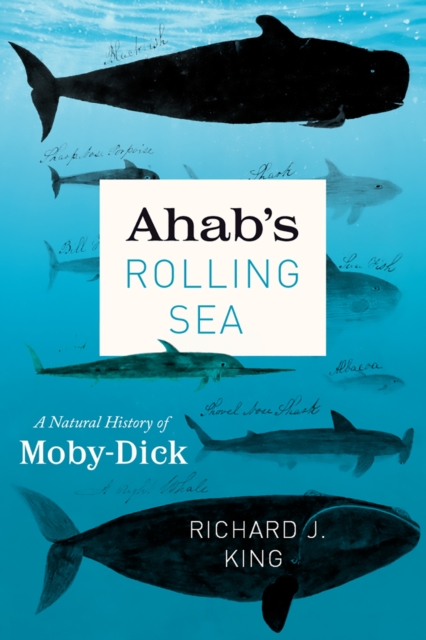 Ahab's Rolling Sea : A Natural History of "Moby-Dick", Hardback Book