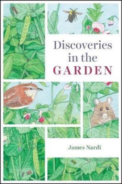 Discoveries in the Garden, Paperback / softback Book