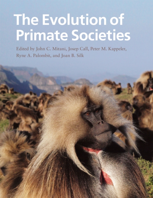 The Evolution of Primate Societies, Hardback Book