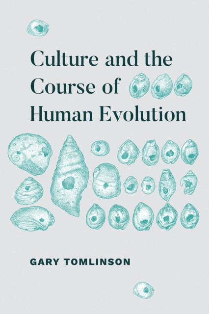 Culture and the Course of Human Evolution, Paperback / softback Book