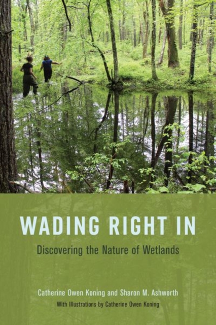 Wading Right in : Discovering the Nature of Wetlands, Hardback Book