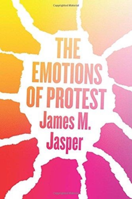 The Emotions of Protest, Paperback / softback Book