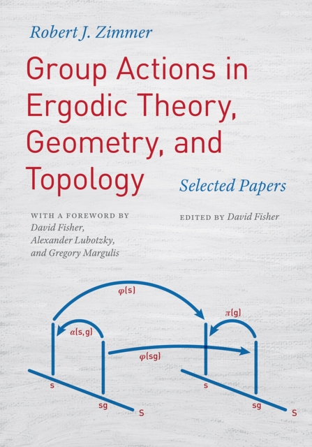 Group Actions in Ergodic Theory, Geometry, and Topology : Selected Papers, Hardback Book