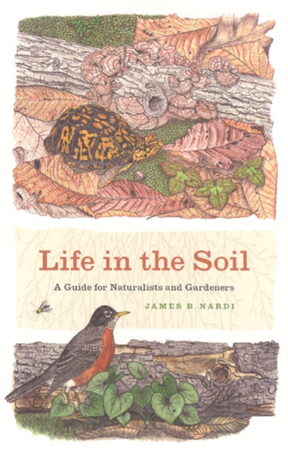Life in the Soil : A Guide for Naturalists and Gardeners, Paperback / softback Book