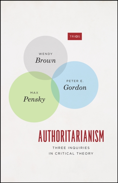 Authoritarianism : Three Inquiries in Critical Theory, Hardback Book