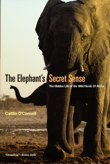 The Elephant`s Secret Sense - The Hidden Life of the Wild Herds of Africa, Paperback / softback Book