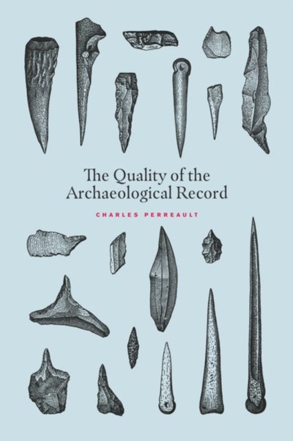 The Quality of the Archaeological Record, Hardback Book
