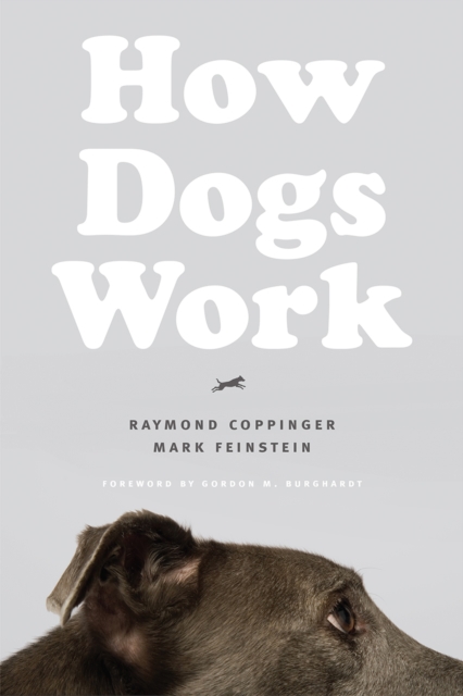 How Dogs Work, Paperback / softback Book