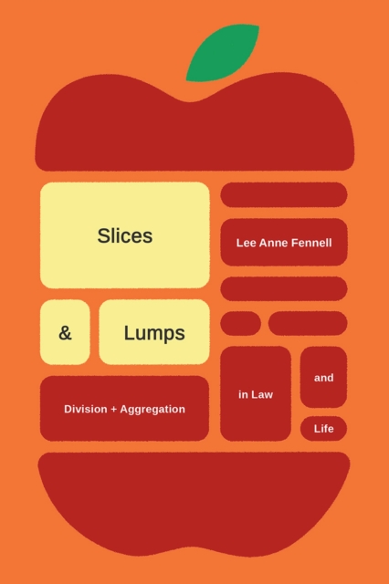 Slices and Lumps : Division and Aggregation in Law and Life, Hardback Book