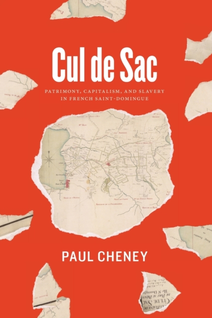 Cul de Sac : Patrimony, Capitalism, and Slavery in French Saint-Domingue, Paperback / softback Book