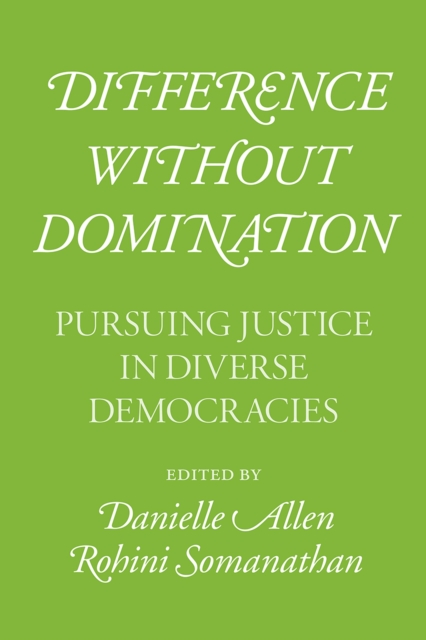 Difference Without Domination : Pursuing Justice in Diverse Democracies, Paperback / softback Book