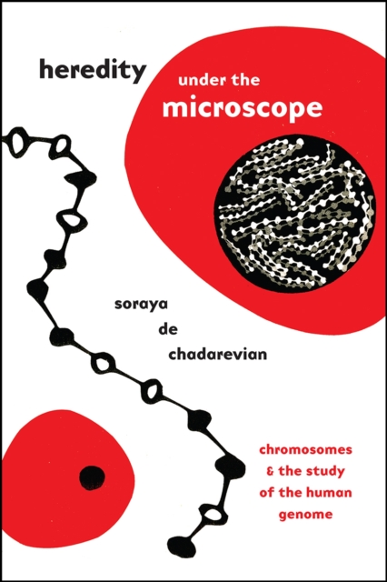 Heredity under the Microscope : Chromosomes and the Study of the Human Genome, Paperback / softback Book