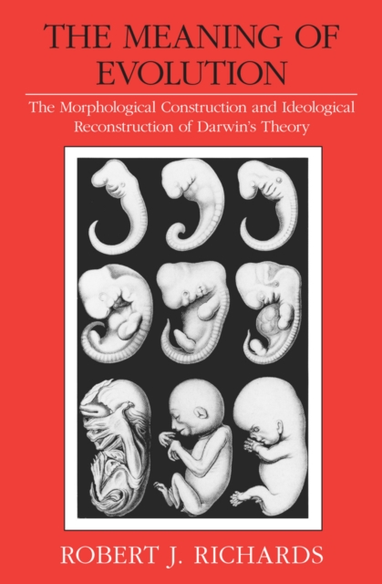 The Meaning of Evolution : The Morphological Construction and Ideological Reconstruction of Darwin's Theory, PDF eBook