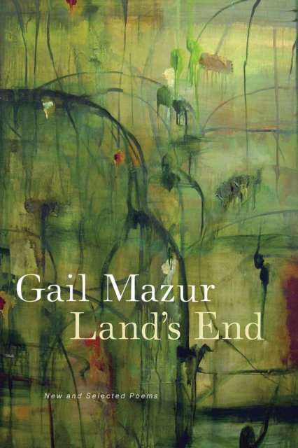 Land's End : New and Selected Poems, Hardback Book