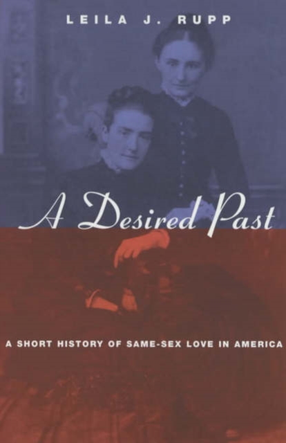 A Desired Past - A Short History of Same-Sex Love in America, Paperback / softback Book