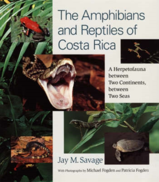The Amphibians and Reptiles of Costa Rica : A Herpetofauna between Two Continents, between Two Seas, Paperback / softback Book