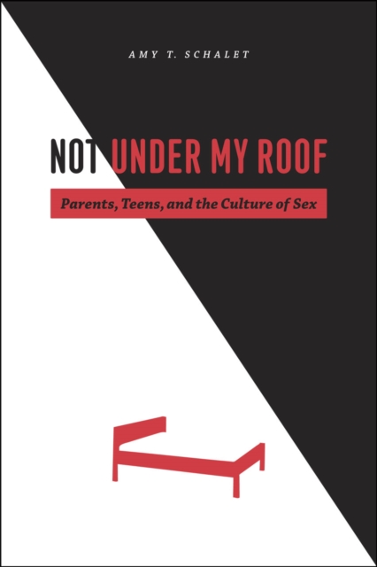 Not Under My Roof : Parents, Teens, and the Culture of Sex, Hardback Book