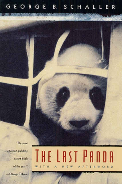 The Last Panda, Paperback / softback Book