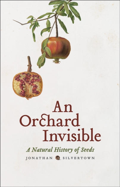 An Orchard Invisible : A Natural History of Seeds, Hardback Book