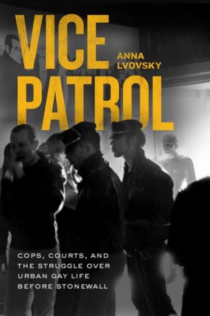 Vice Patrol : Cops, Courts, and the Struggle over Urban Gay Life before Stonewall, Hardback Book