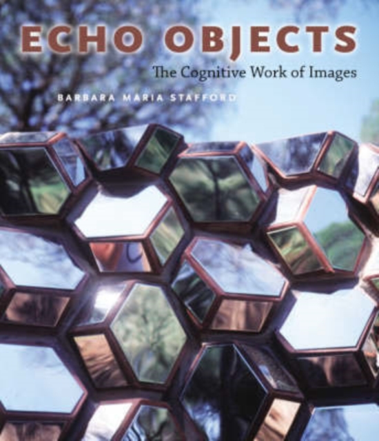 Echo Objects : The Cognitive Work of Images, Hardback Book