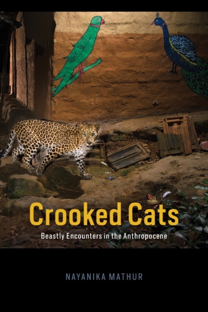Crooked Cats : Beastly Encounters in the Anthropocene, Paperback / softback Book