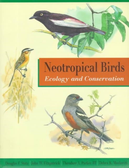 Neotropical Birds, Paperback / softback Book