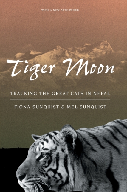 Tiger Moon : Tracking the Great Cats in Nepal, Paperback / softback Book