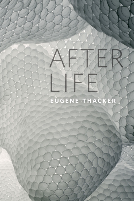 After Life, Paperback / softback Book