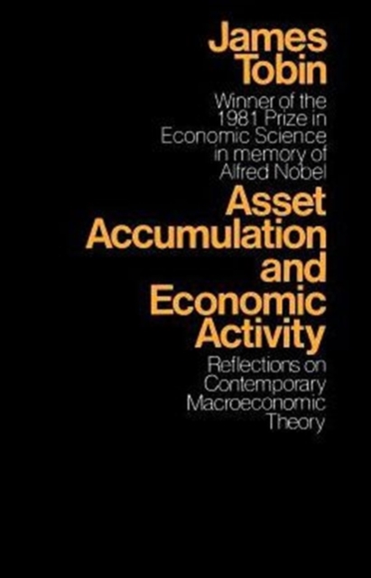 Asset Accumulation and Economic Activity, Paperback / softback Book