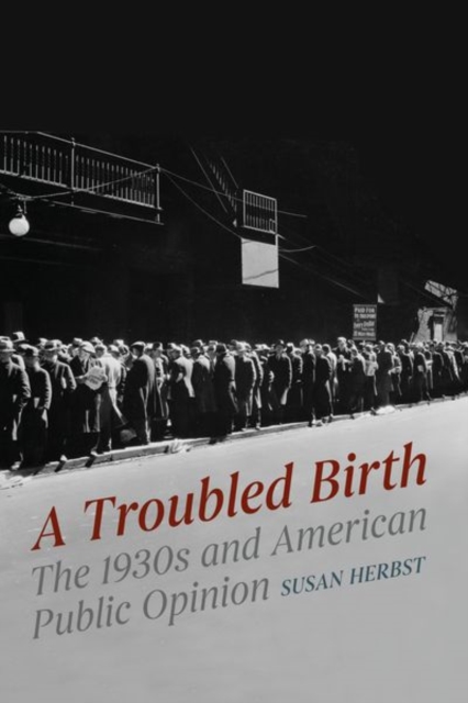 A Troubled Birth : The 1930s and American Public Opinion, Hardback Book