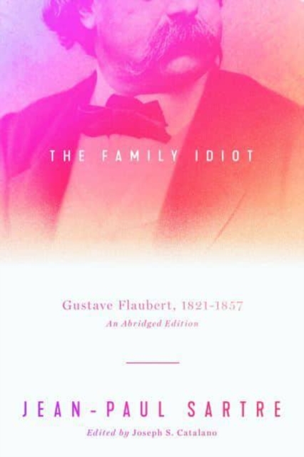 The Family Idiot : Gustave Flaubert, 1821-1857, An Abridged Edition, Paperback / softback Book
